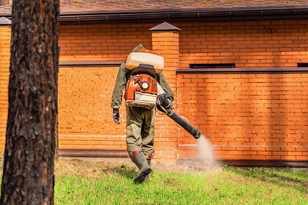 Trusted Ant Control service in Hurstbourne Acres, KY - Nex Pest Control